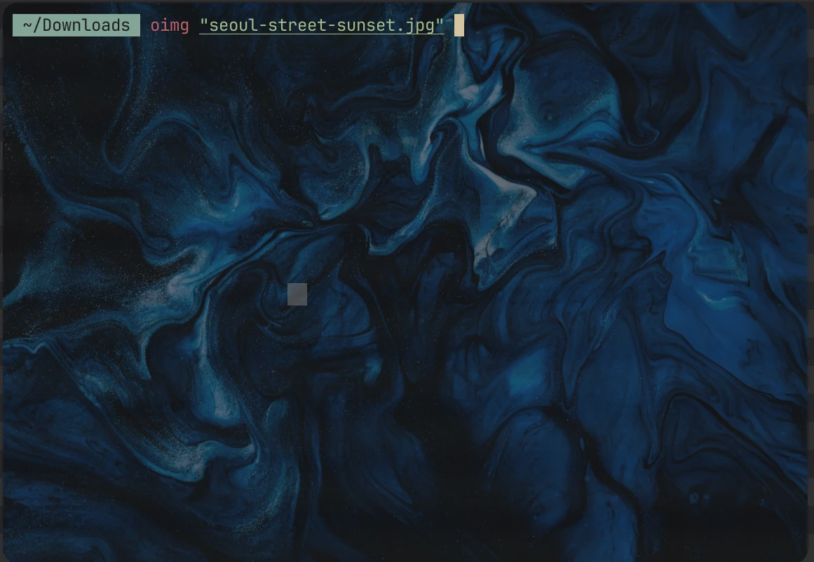 A macOS terminal invoking OIMG from the command line with an image path.
